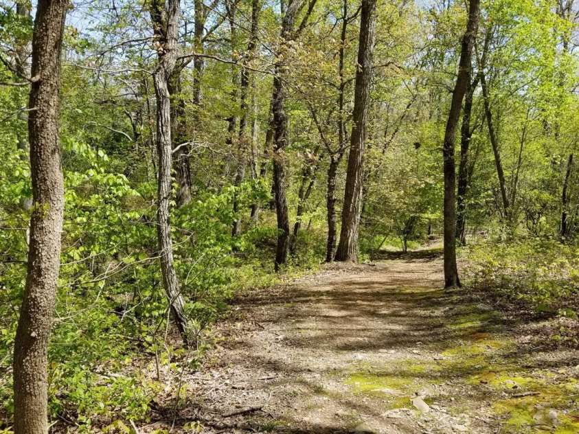 178 Waightstill Drive, Arden, NC 28704.  MLS# CAR4007759, YatesRealty ID 16796. 