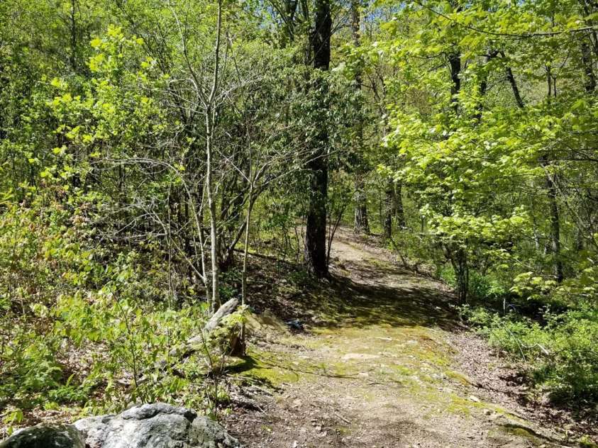 178 Waightstill Drive, Arden, NC 28704.  MLS# CAR4007759, YatesRealty ID 16796. 