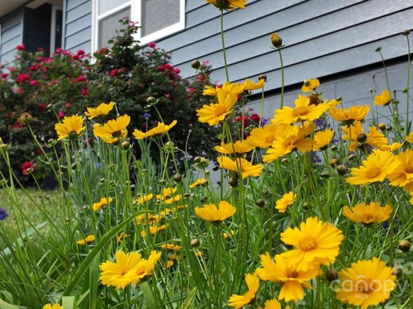 12 Canterbury Road, Asheville, NC 28805.  MLS# CAR4260435, YatesRealty ID 16801. 