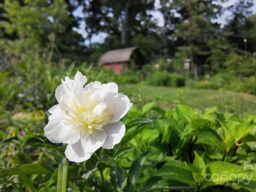 12 Canterbury Road, Asheville, NC 28805.  MLS# CAR4260435, YatesRealty ID 16801. 