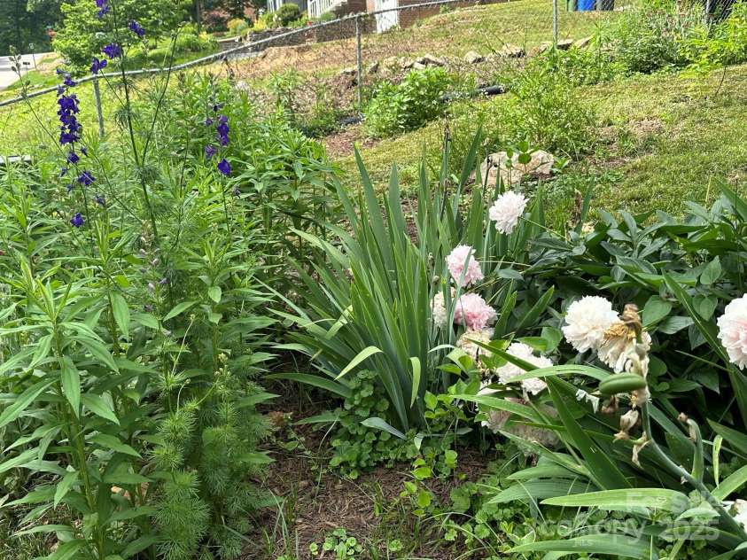 12 Canterbury Road, Asheville, NC 28805.  MLS# CAR4260435, YatesRealty ID 16801. Beautiful Greenery