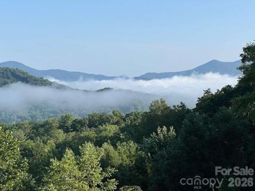 116 Dalya Road, Swannanoa, NC 28778.  MLS# CAR4346985, YatesRealty ID 16809. 