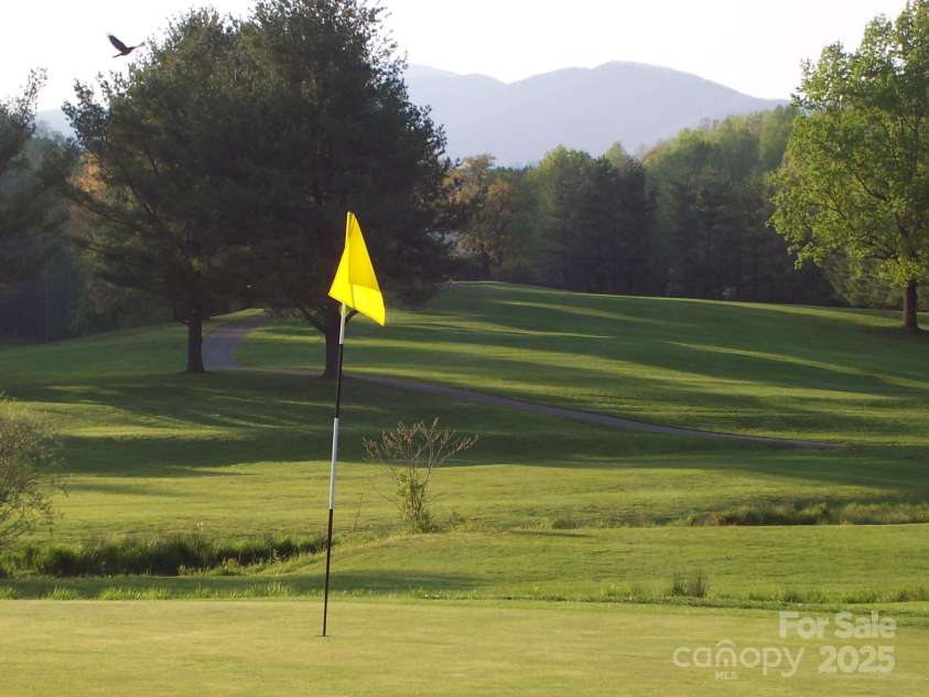 1A Lynx Drive, Black Mountain, NC 28711.  MLS# CAR4234448, YatesRealty ID 16828. 