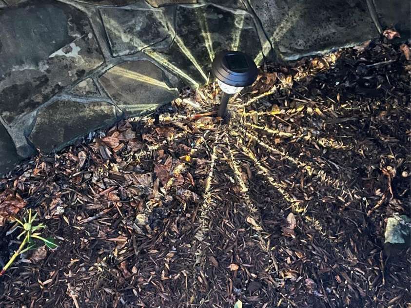 233 Cherry Road, Boone, NC 28607.  MLS# CAR4248700, YatesRealty ID 16836. 