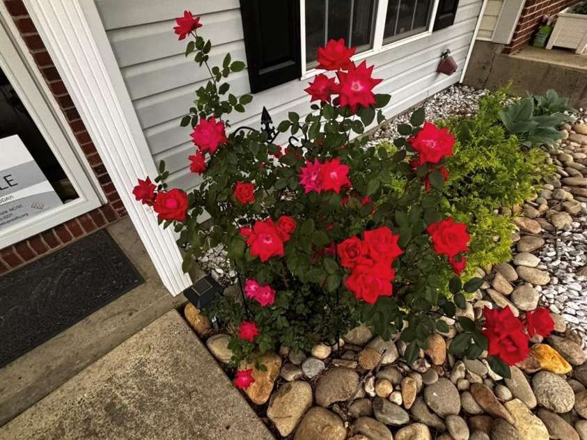 8376 Rudolph Road, Charlotte, NC 28216.  MLS# CAR4335074, YatesRealty ID 1687. 