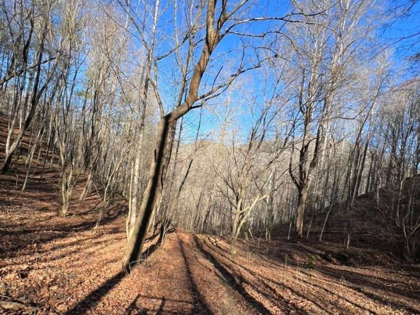12982 US HWY 19W None, Burnsville, NC 28714.  MLS# CAR4234088, YatesRealty ID 16876. From the mule!