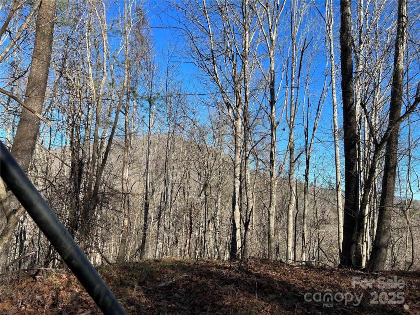 12982 US HWY 19W None, Burnsville, NC 28714.  MLS# CAR4234088, YatesRealty ID 16876. Possible year round views from land.