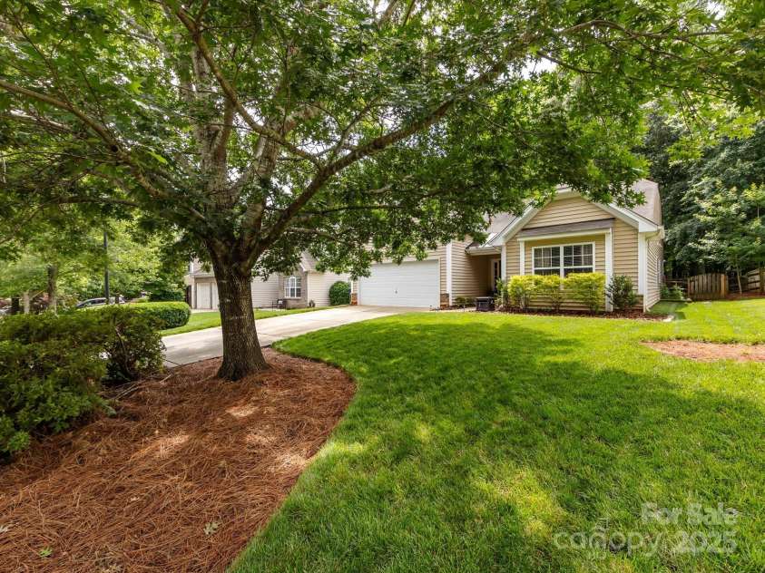 3347 Xandra Court, Indian Land, SC 29707.  MLS# CAR4266129, YatesRealty ID 16882. Beautiful mature tree in front yard