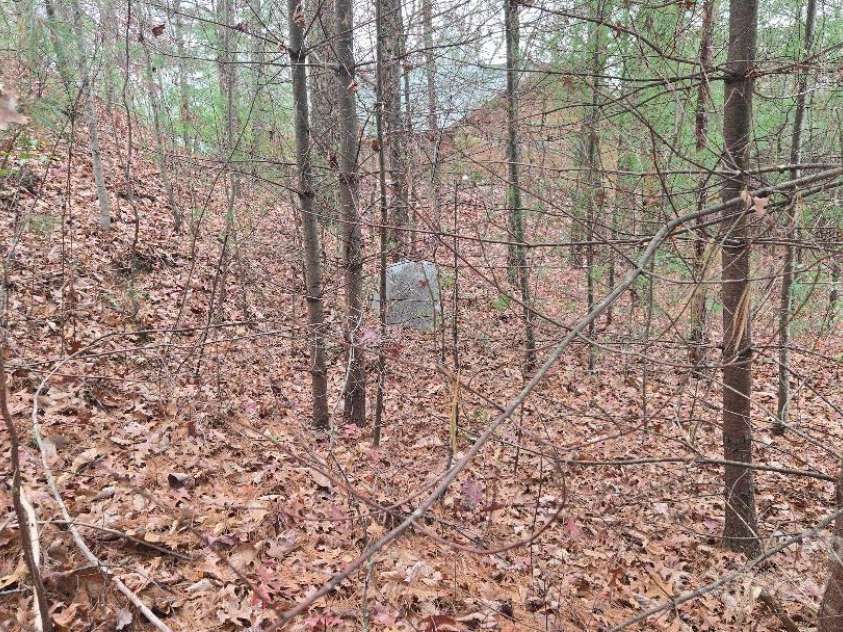 23 Jay Foster Way, Saluda, NC 28773.  MLS# CAR4278065, YatesRealty ID 1689. Extra lot has Well installed (no pump) See MLS 4278065