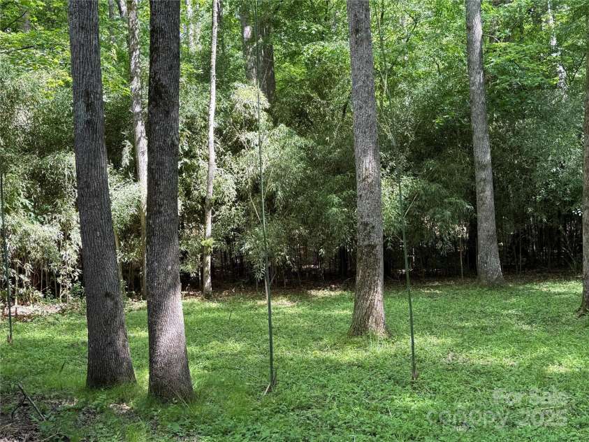 1451 Blueberry Lane, Charlotte, NC 28226.  MLS# CAR4258872, YatesRealty ID 16895. Looking from deck to left