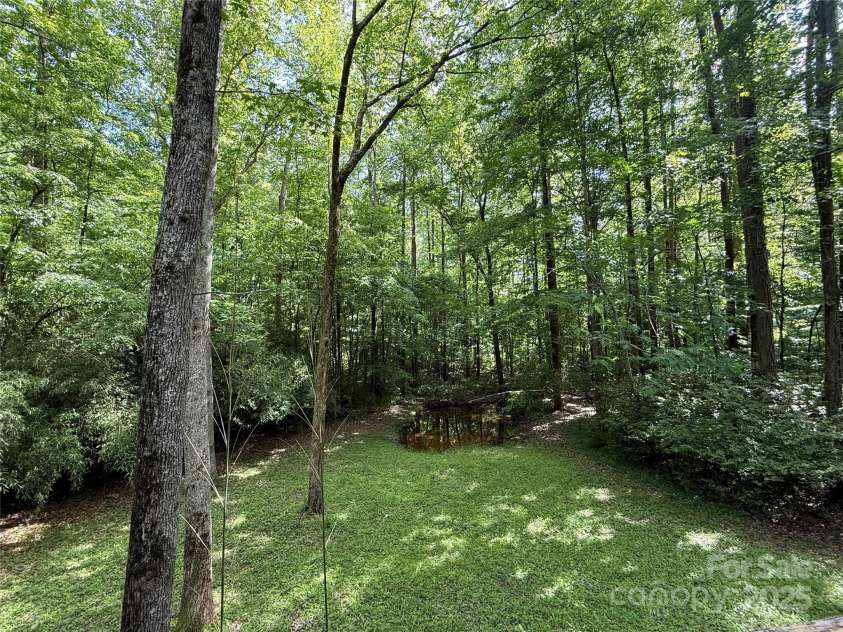 1451 Blueberry Lane, Charlotte, NC 28226.  MLS# CAR4258872, YatesRealty ID 16895. Looking from deck towards woods -goes back approx. 100+ ft.