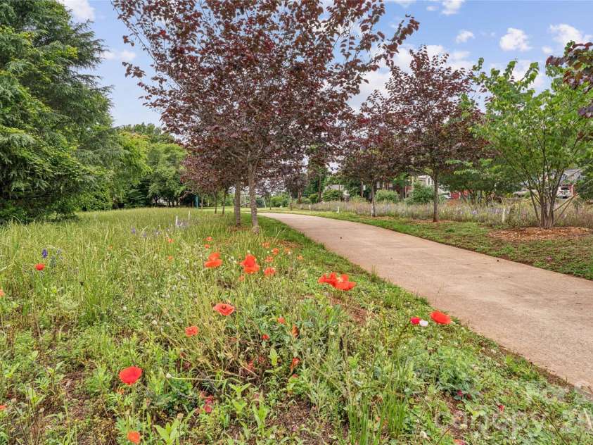 343 Hurston Circle, Charlotte, NC 28208.  MLS# CAR4353633, YatesRealty ID 16906. Take a nice stroll down the Greenway, where flowers and trees are blooming