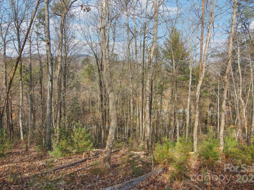 363 Luther Burbank Drive, Lake Lure, NC 28746.  MLS# CAR4220692, YatesRealty ID 1693. 