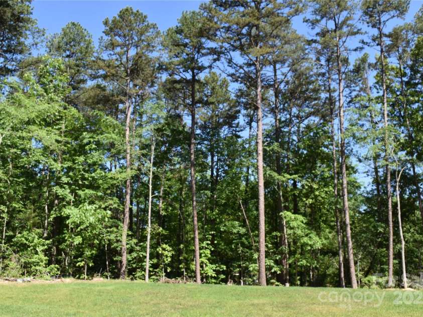 6519 Pargo Road, Charlotte, NC 28216.  MLS# CAR4246671, YatesRealty ID 16937. Back of the lot.