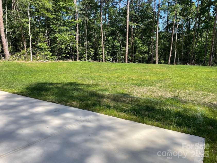 6519 Pargo Road, Charlotte, NC 28216.  MLS# CAR4246671, YatesRealty ID 16937. Backyard