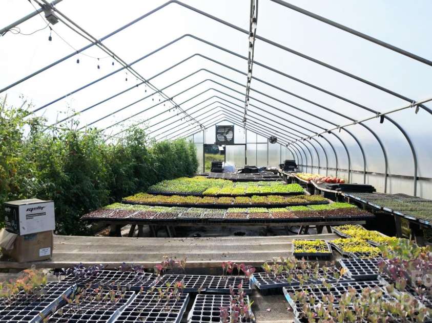 34 River Run, Asheville, NC 28804.  MLS# CAR4260631, YatesRealty ID 16973. Functioning farm with hoop houses and fields