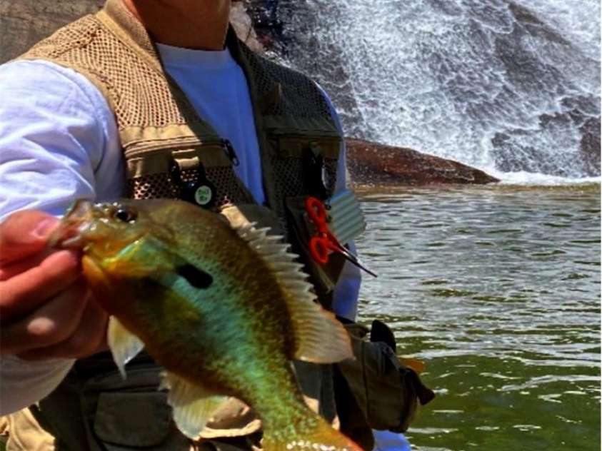 221 Toxaway Falls Drive, Lake Toxaway, NC 28747.  MLS# CAR4246910, YatesRealty ID 16979. Catch a fish