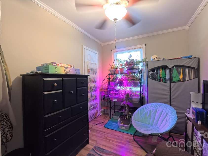 1521 Herrin Avenue, Charlotte, NC 28205.  MLS# CAR4316384, YatesRealty ID 1699. 