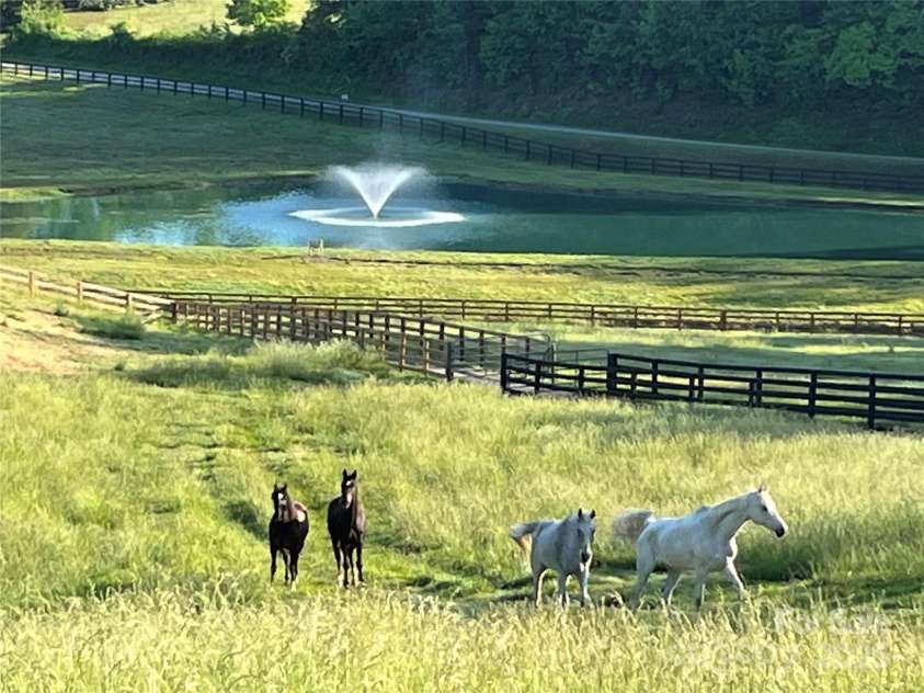 1709 Round Mountain Parkway, Lenoir, NC 28645.  MLS# CAR4179012, YatesRealty ID 17000. 