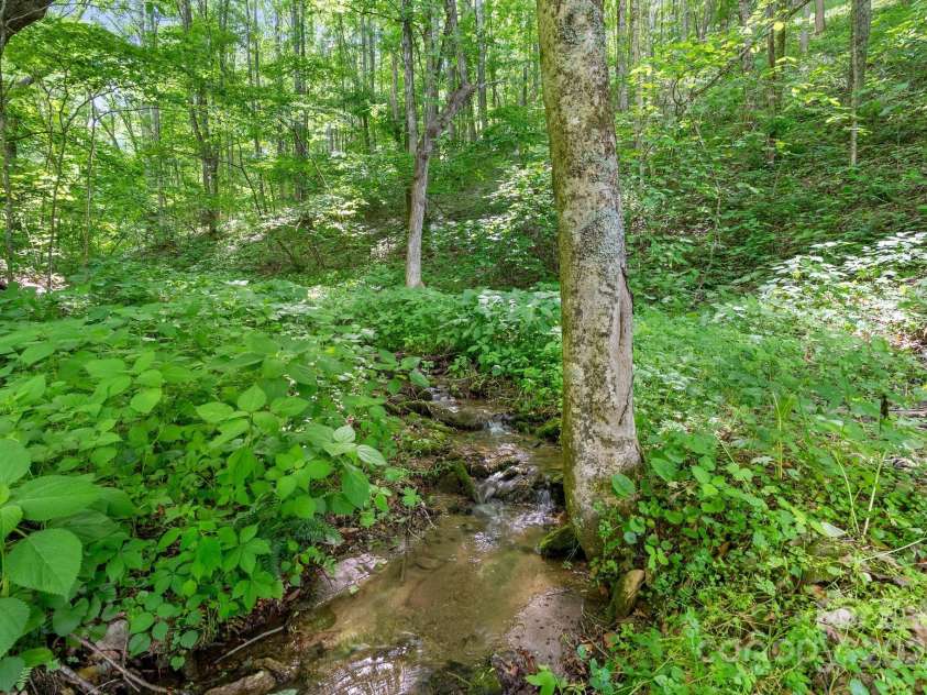 370 Fox Cove Road, Mars Hill, NC 28754.  MLS# CAR4260520, YatesRealty ID 17004. 