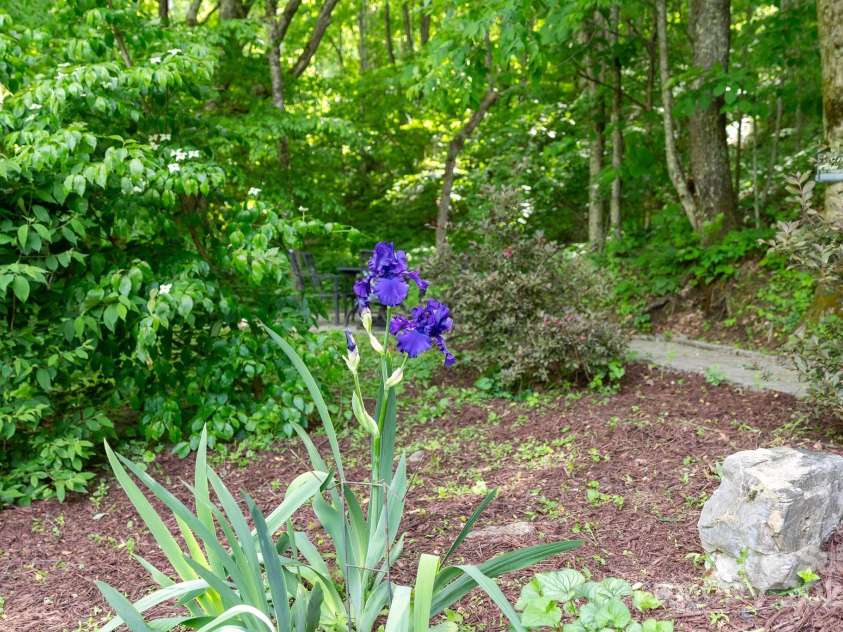 370 Fox Cove Road, Mars Hill, NC 28754.  MLS# CAR4260520, YatesRealty ID 17004. 