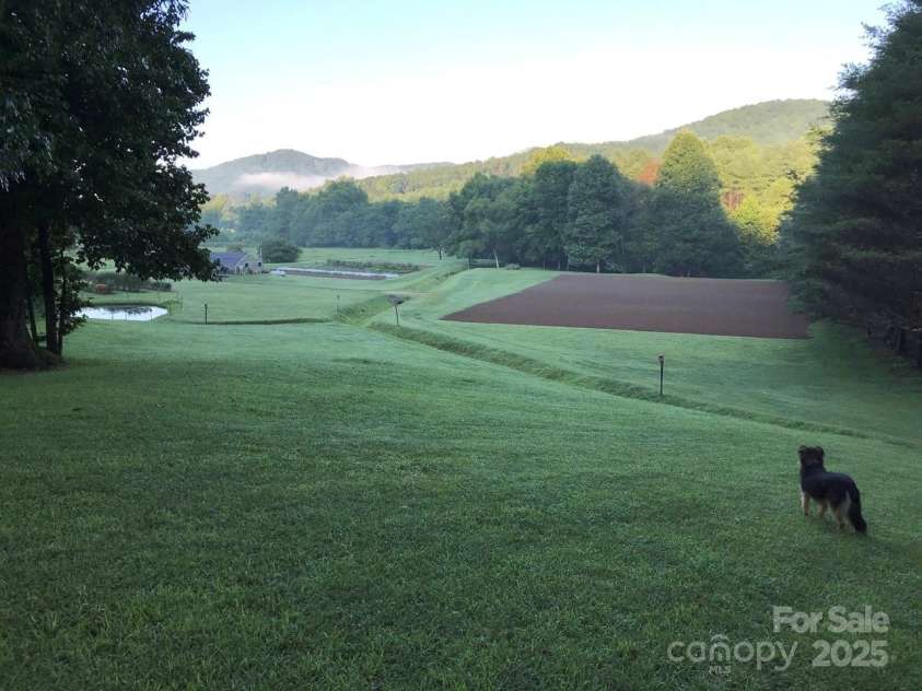 9675 Montford Cove Road, Marion, NC 28752.  MLS# CAR4206983, YatesRealty ID 17032. A look at the field from up above.