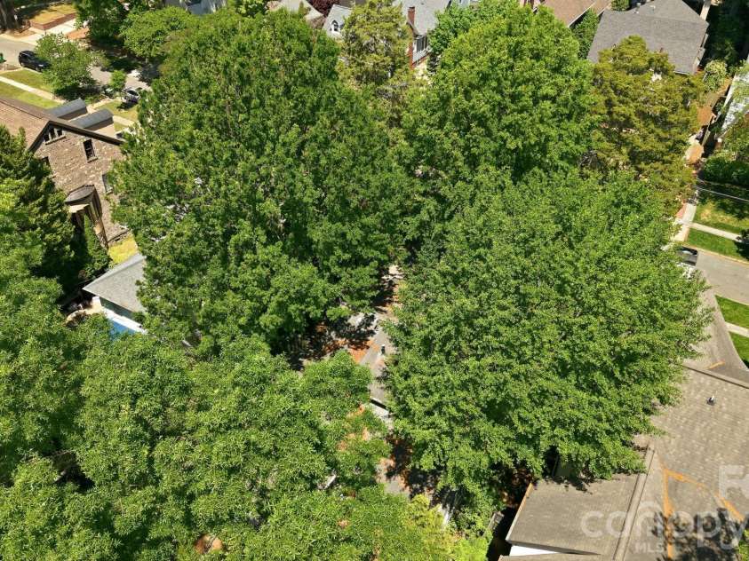200 Altondale Avenue, Charlotte, NC 28207.  MLS# CAR4375547, YatesRealty ID 17068. 