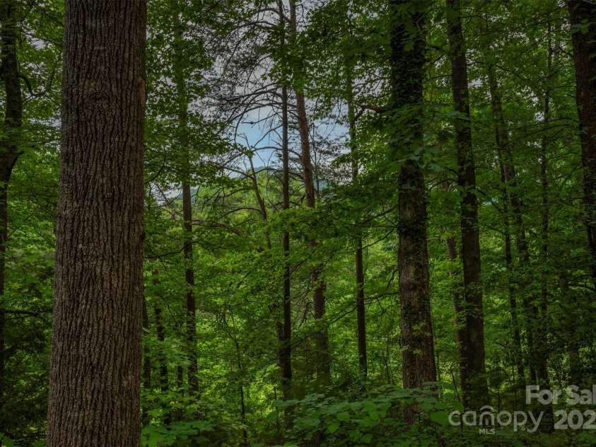 312 Page Farm Road, Tryon, NC 28782.  MLS# CAR4260407, YatesRealty ID 17144. 