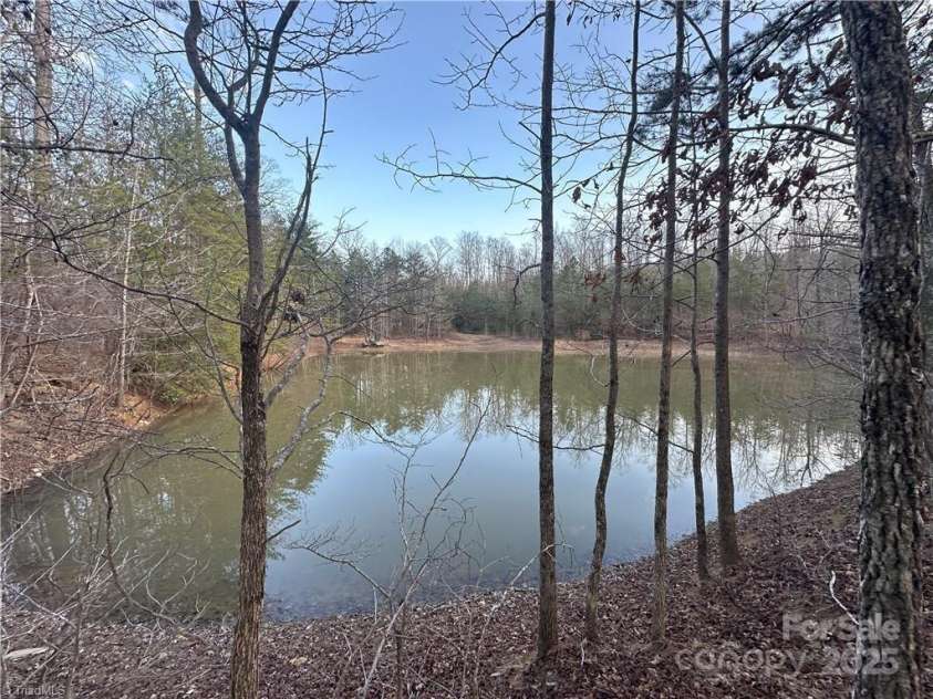 2117 Slate Mine Road, Denton, NC 27239.  MLS# CAR4220730, YatesRealty ID 17181. 2nd pond - approx. ½ acre spring-fed with a feeder on floater