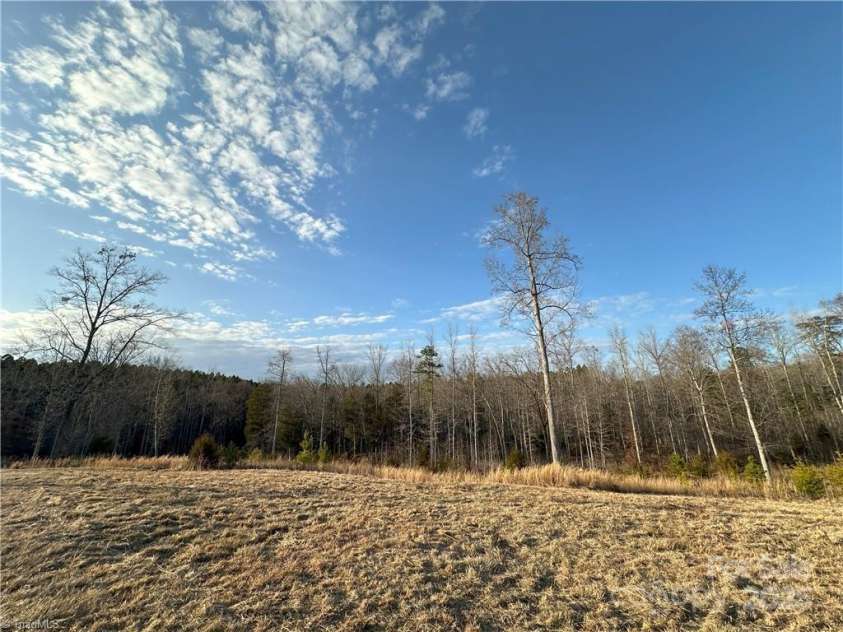 2117 Slate Mine Road, Denton, NC 27239.  MLS# CAR4220730, YatesRealty ID 17181. Cleared acreage looking from main trail with large pond to left and behind this picture.