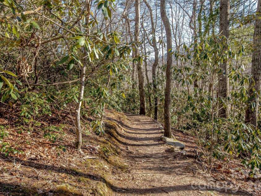 30 Stills Creek Loop, Fairview, NC 28730.  MLS# CAR4353771, YatesRealty ID 17188. Miles of hiking trails