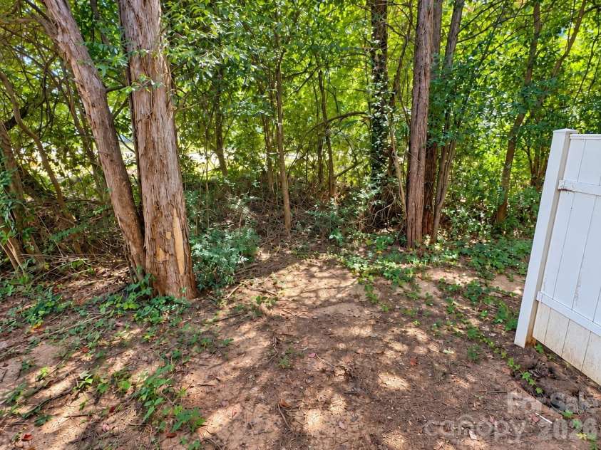 5356 Austin Knoll Court, Charlotte, NC 28269.  MLS# CAR4430727, YatesRealty ID 17213. Backyard