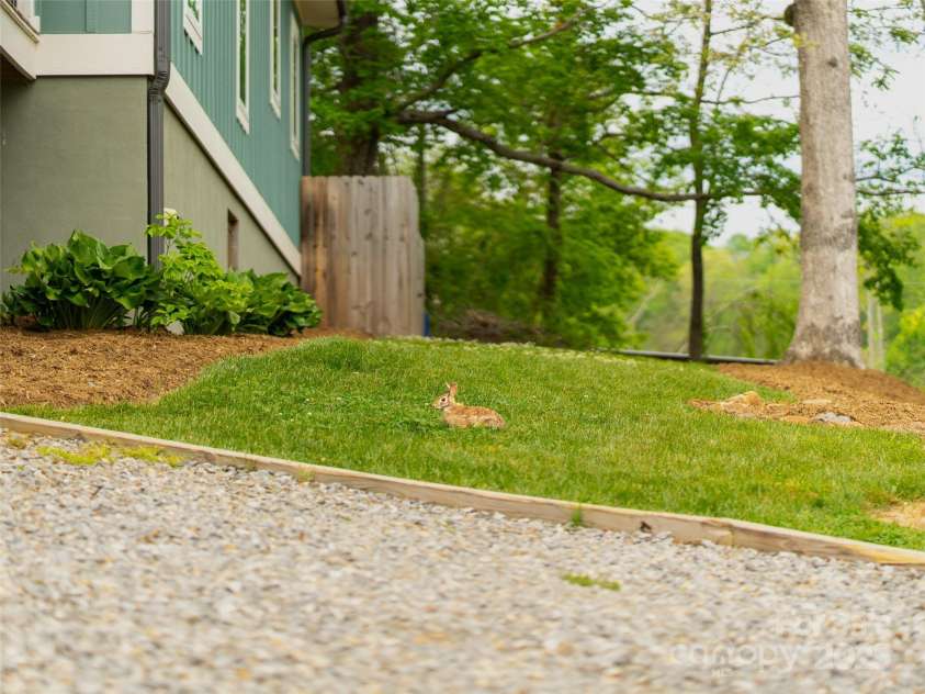 328 Mccoy Cove Road, Black Mountain, NC 28711.  MLS# CAR4248740, YatesRealty ID 17223. Bunny included!