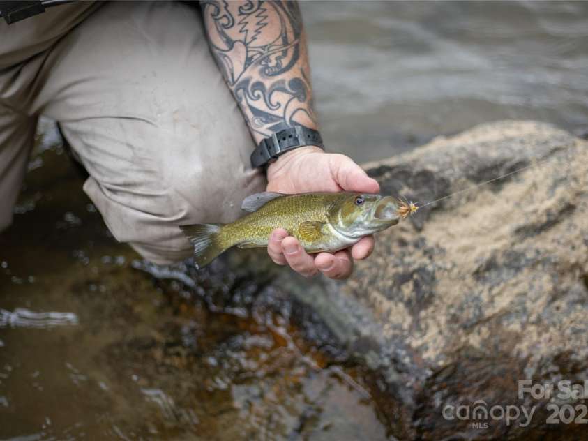 2736 White Oak Flats Road, Green Mountain, NC 28740.  MLS# CAR4157590, YatesRealty ID 1723. 