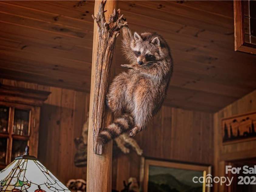 2736 White Oak Flats Road, Green Mountain, NC 28740.  MLS# CAR4157590, YatesRealty ID 1723. 