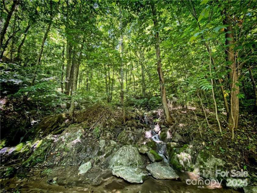 2736 White Oak Flats Road, Green Mountain, NC 28740.  MLS# CAR4157590, YatesRealty ID 1723. 