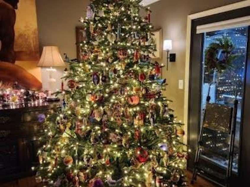 17 Marlwood Court, Asheville, NC 28804.  MLS# CAR4359603, YatesRealty ID 17236. 10 ft tree to show height reference
