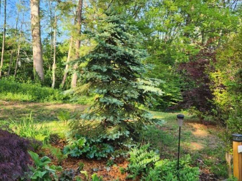 17 Marlwood Court, Asheville, NC 28804.  MLS# CAR4359603, YatesRealty ID 17236. 