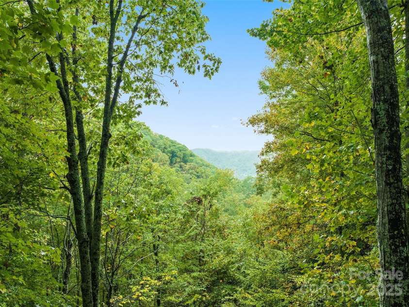 1664 Tawodi Trail, Maggie Valley, NC 28751.  MLS# CAR4308609, YatesRealty ID 1724. 