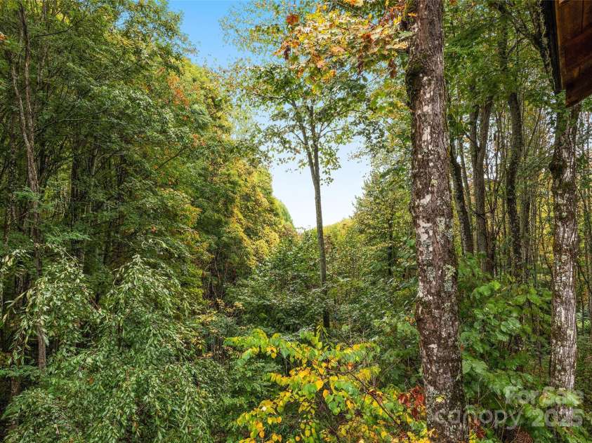 1664 Tawodi Trail, Maggie Valley, NC 28751.  MLS# CAR4308609, YatesRealty ID 1724. 