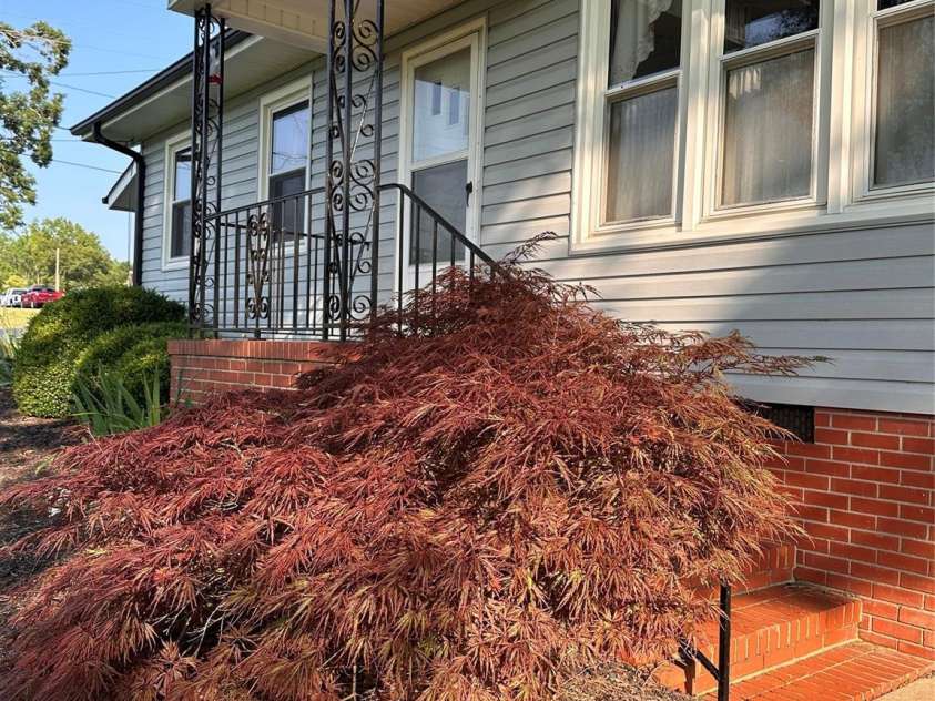 100 Rudisill Avenue, Cherryville, NC 28021.  MLS# CAR4266648, YatesRealty ID 17242. 