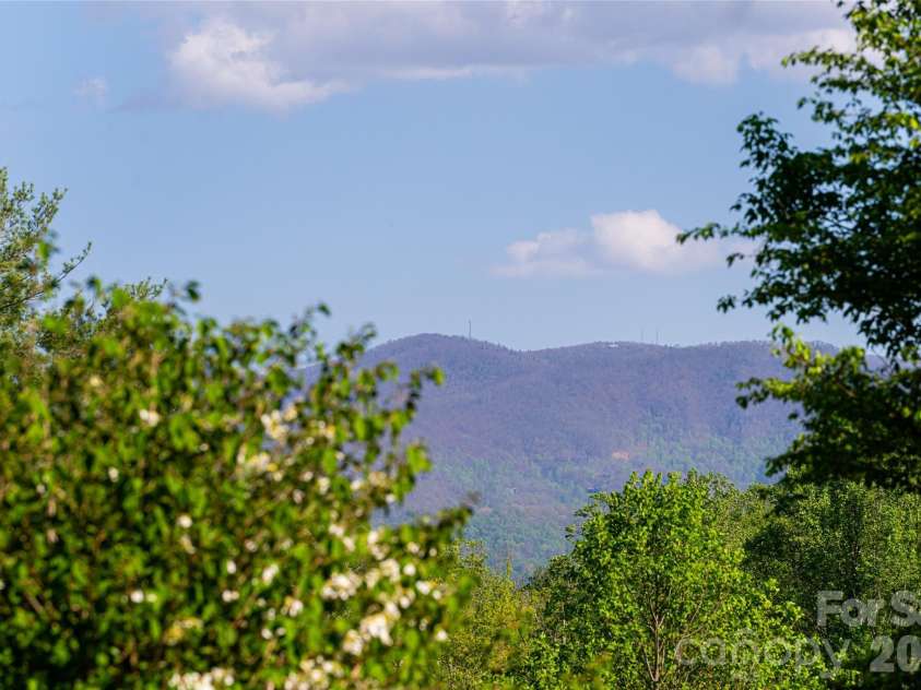 7 Ashley Road, Asheville, NC 28805.  MLS# CAR4370174, YatesRealty ID 17250. Peaceful Views