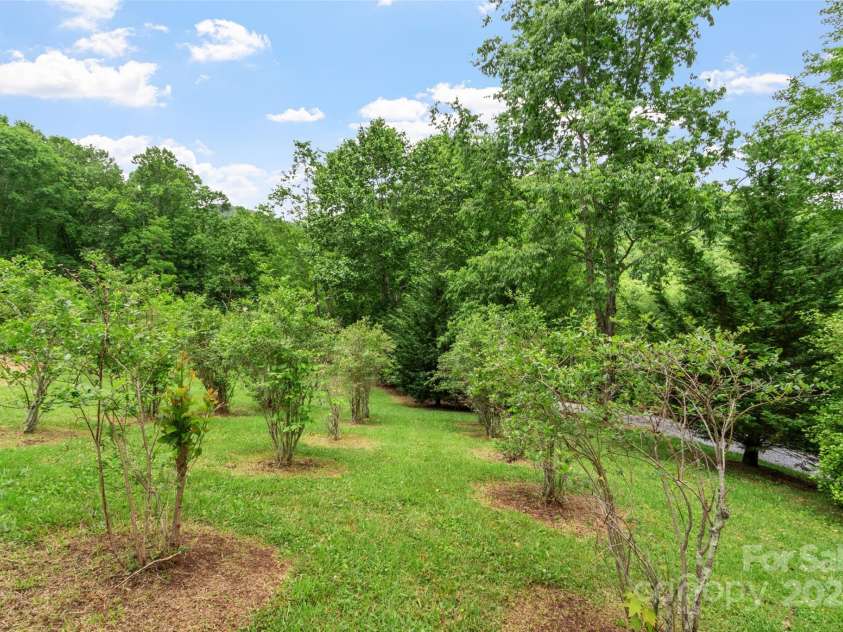 11820 State Highway 197 None, Burnsville, NC 28714.  MLS# CAR4264964, YatesRealty ID 17279. Blueberries