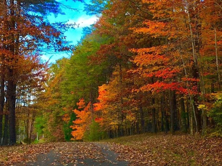 1250 Mountain Creek Road, Rutherfordton, NC 28139.  MLS# CAR4266974, YatesRealty ID 17284. 