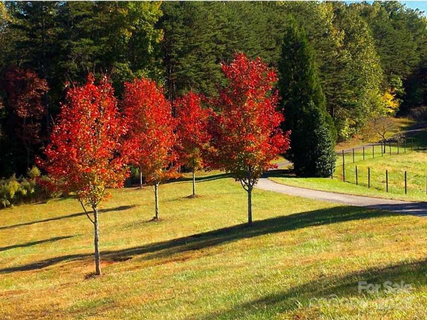 1250 Mountain Creek Road, Rutherfordton, NC 28139.  MLS# CAR4266974, YatesRealty ID 17284. 