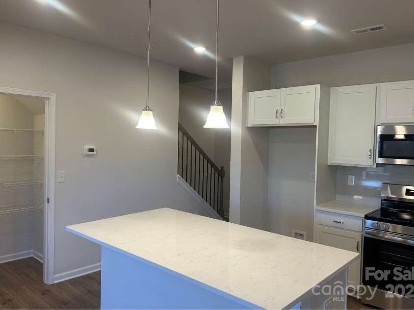 6005 Jasmine Branch Road, Charlotte, NC 28216.  MLS# CAR4260447, YatesRealty ID 17363. Suwanee Kitchen & Pantry