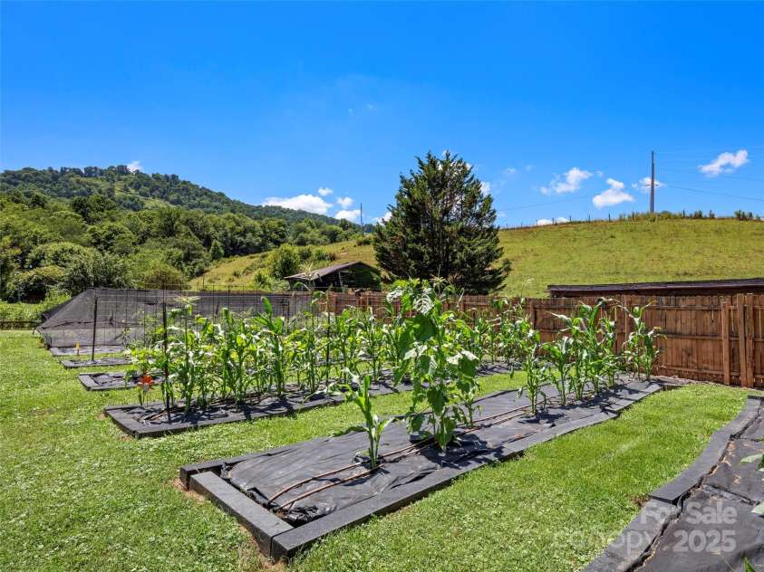 10 & 115 Gardening Frog Trail, Waynesville, NC 28785.  MLS# CAR4257119, YatesRealty ID 17378. 