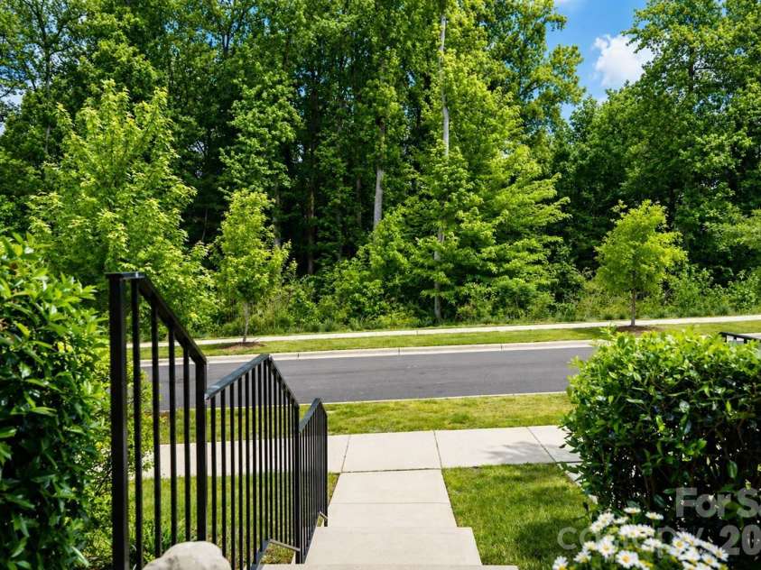 12008 John Newton Drive, Davidson, NC 28036.  MLS# CAR4375341, YatesRealty ID 17400. Front View from Entry To Trees