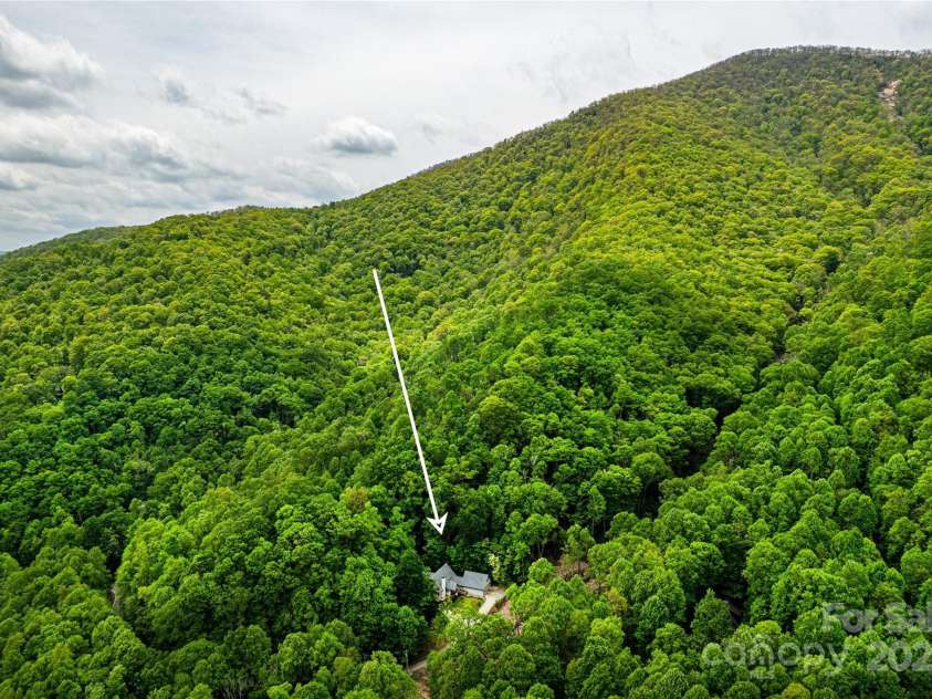 58 Great Aspen Way, Black Mountain, NC 28711.  MLS# CAR4256095, YatesRealty ID 17415. Living in heavily treed Laurel Ridge is like living off the Blue Ridge Parkway. Welcome home to your place in the beautiful WNC mountains!