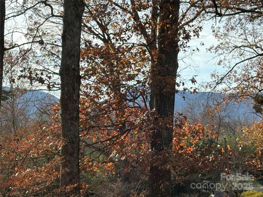 114 Broadway Avenue, Tryon, NC 28782.  MLS# CAR4322856, YatesRealty ID 17430. There are lovely mountain views behind the home.